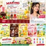 Marvino Food Flavors Essence for Baking Beverages Ice-creams Confectioneries